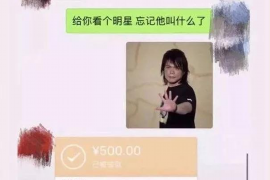 阜南专业讨债公司，追讨消失的老赖